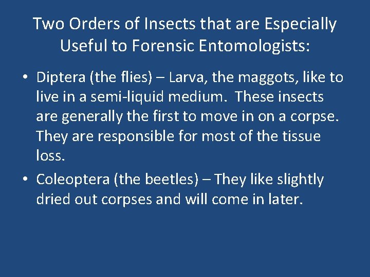 Two Orders of Insects that are Especially Useful to Forensic Entomologists: • Diptera (the