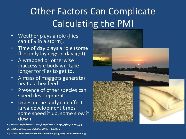 Other Factors Can Complicate Calculating the PMI • Weather plays a role (flies can’t