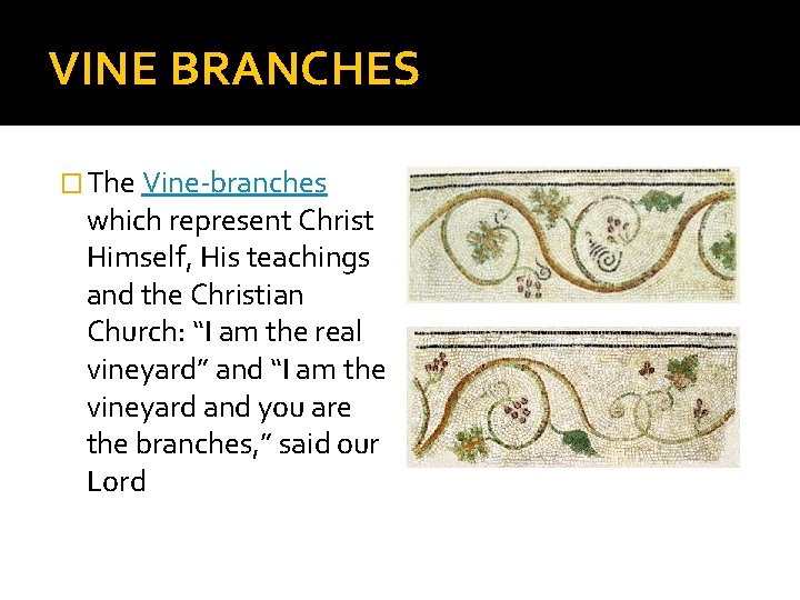 VINE BRANCHES � The Vine-branches which represent Christ Himself, His teachings and the Christian