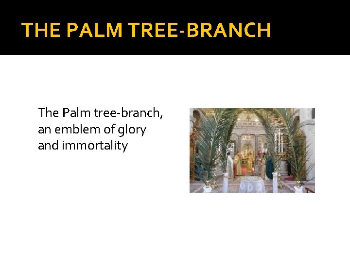 THE PALM TREE-BRANCH The Palm tree-branch, an emblem of glory and immortality 