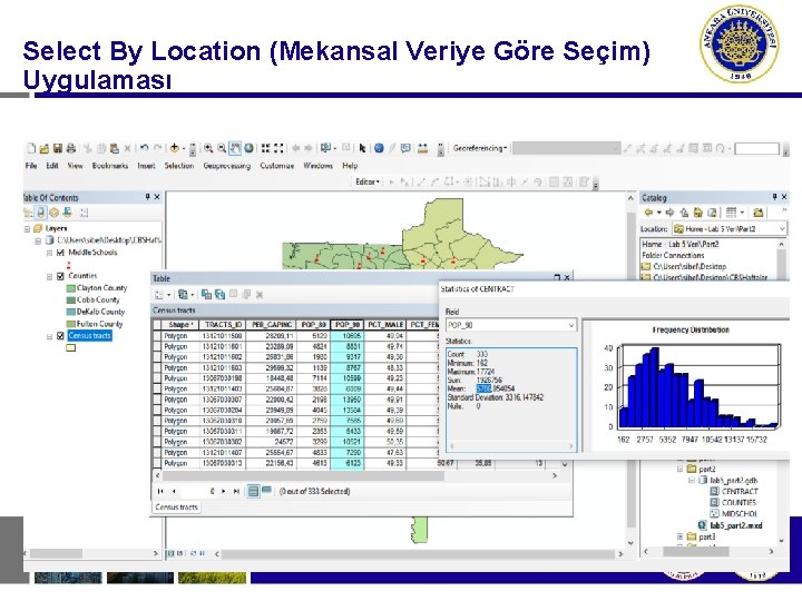 Select By Location (Mekansal Veriye Göre Seçim) Uygulaması 