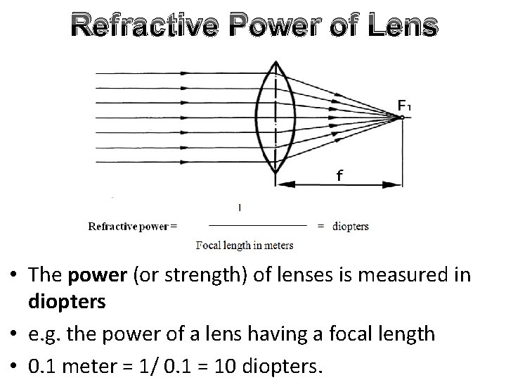Physiology of Special Senses By Dr Abdel Aziz