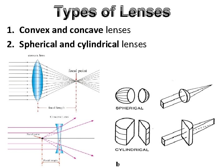 Types of Lenses 1. Convex and concave lenses 2. Spherical and cylindrical lenses 