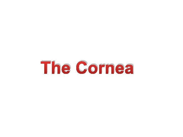 The Cornea 