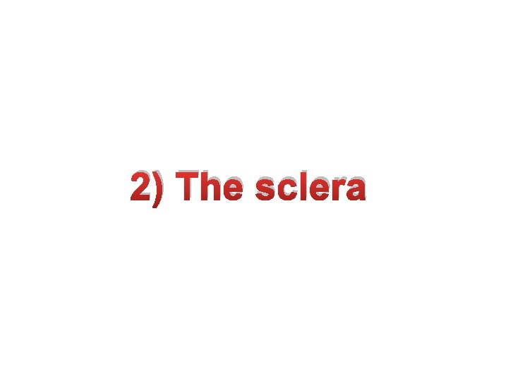 2) The sclera 