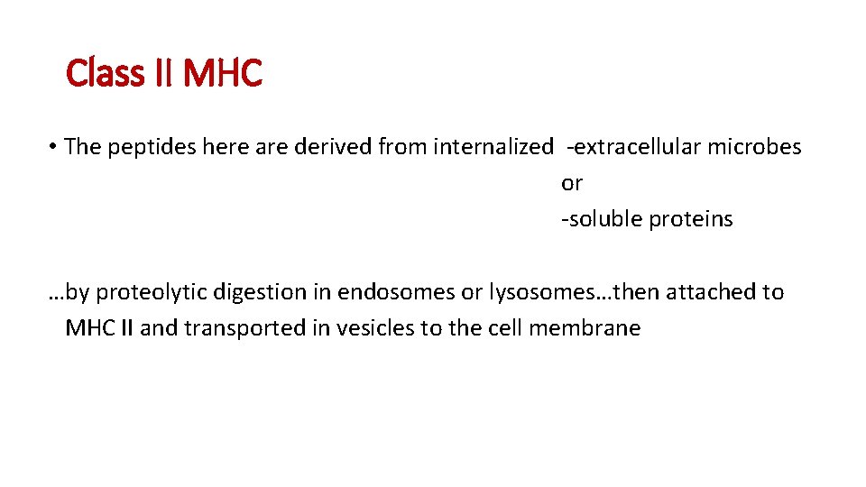 Class II MHC • The peptides here are derived from internalized -extracellular microbes or