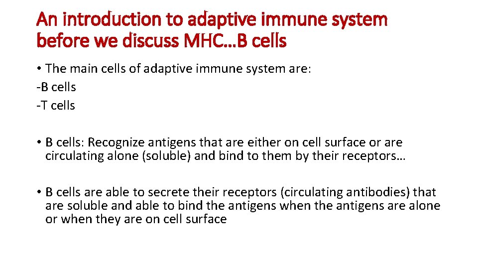 An introduction to adaptive immune system before we discuss MHC…B cells • The main