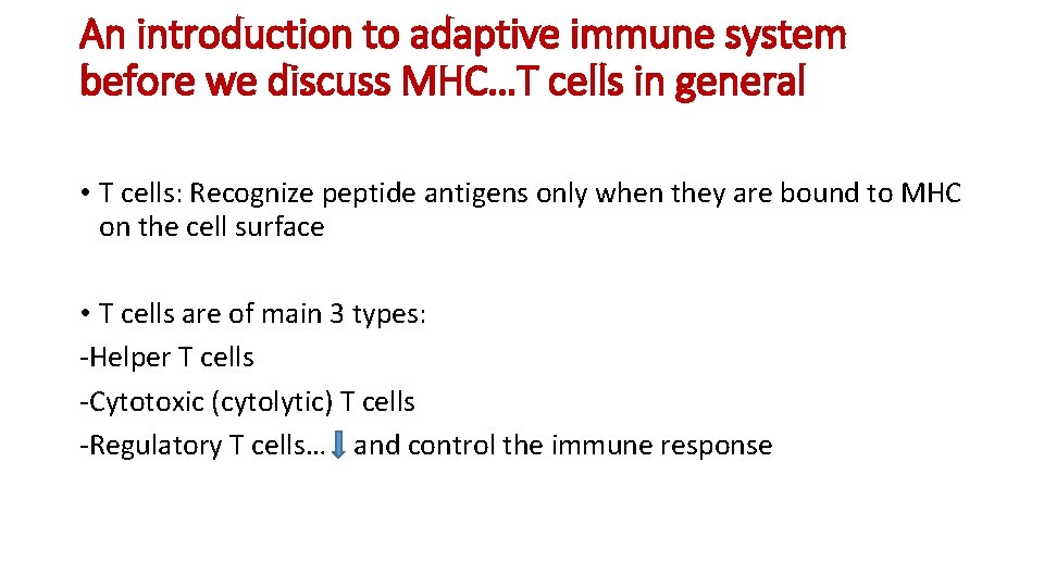 An introduction to adaptive immune system before we discuss MHC…T cells in general •