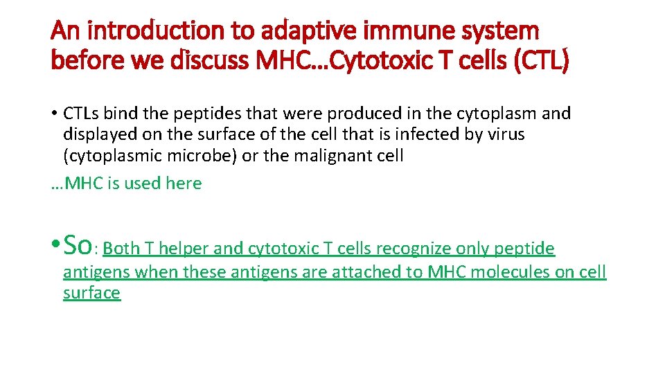 An introduction to adaptive immune system before we discuss MHC…Cytotoxic T cells (CTL) •