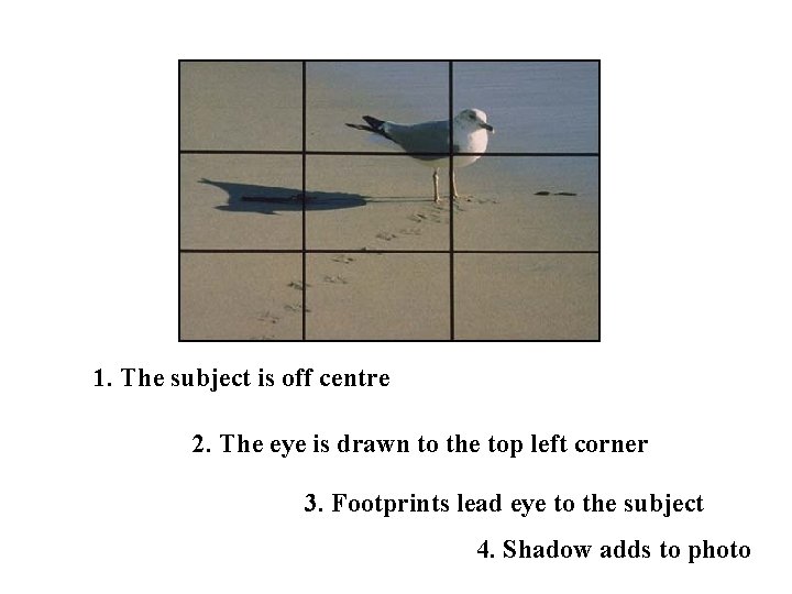 1. The subject is off centre 2. The eye is drawn to the top 1. The subject is off centre 2. The eye is drawn to the top