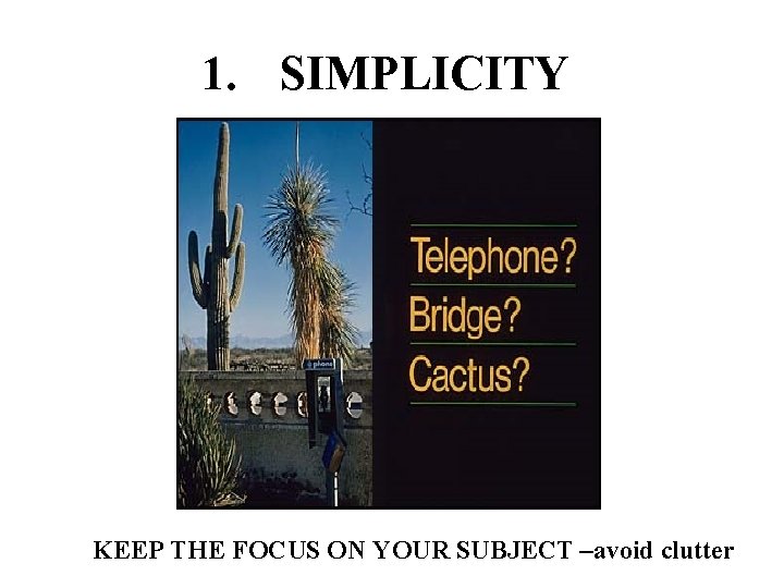 1. SIMPLICITY KEEP THE FOCUS ON YOUR SUBJECT –avoid clutter 