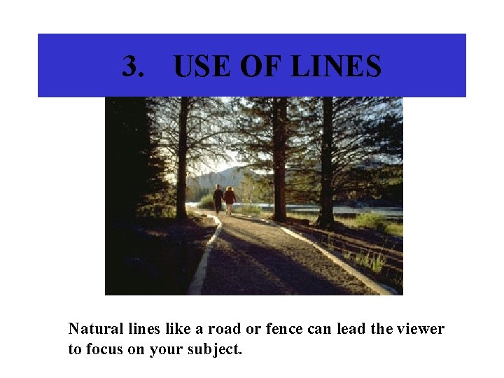 3. USE OF LINES Natural lines like a road or fence can lead the