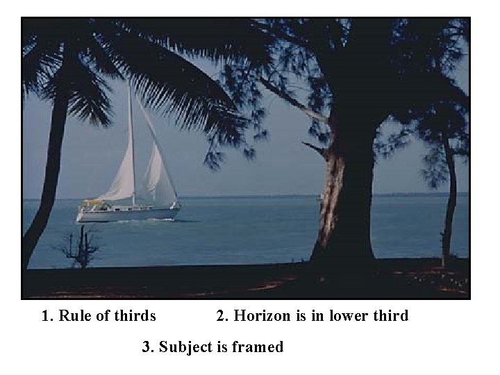 1. Rule of thirds 2. Horizon is in lower third 3. Subject is framed