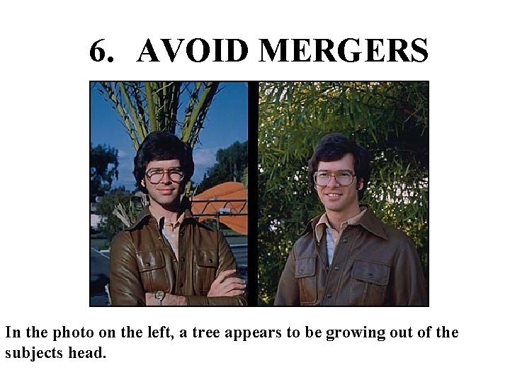 6. AVOID MERGERS In the photo on the left, a tree appears to be