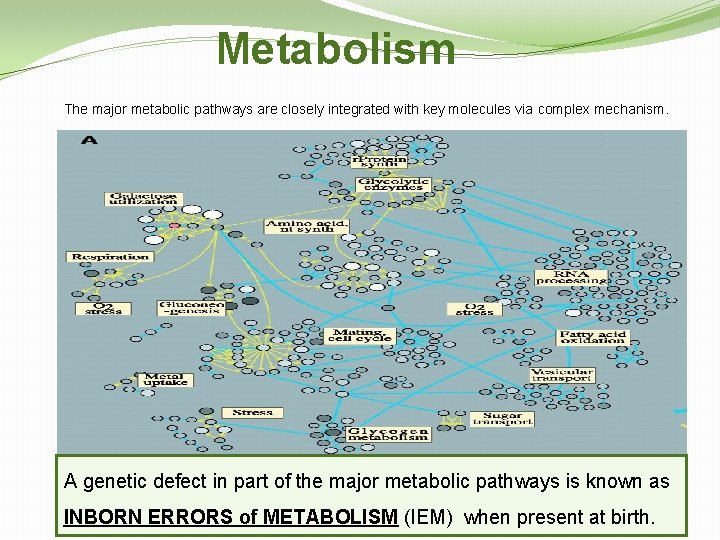 Metabolism The major metabolic pathways are closely integrated with key molecules via complex mechanism.