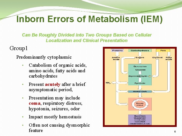 Inborn Errors of Metabolism (IEM) Can Be Roughly Divided into Two Groups Based on