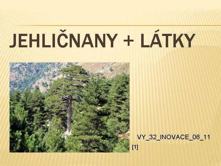 JEHLIČNANY + LÁTKY VY_32_INOVACE_06_11 [1] 