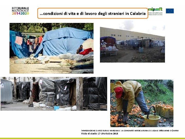 …condizioni di vita e di lavoro degli stranieri in Calabria IMMIGRAZIONE E AREE RURALI