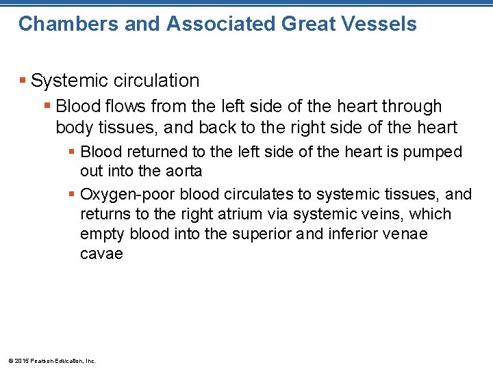 Chambers and Associated Great Vessels § Systemic circulation § Blood flows from the left Chambers and Associated Great Vessels § Systemic circulation § Blood flows from the left