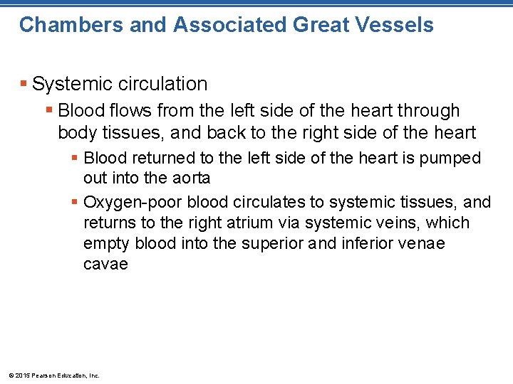 Chambers and Associated Great Vessels § Systemic circulation § Blood flows from the left