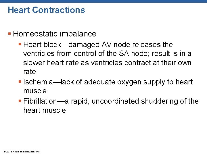 Heart Contractions § Homeostatic imbalance § Heart block—damaged AV node releases the ventricles from