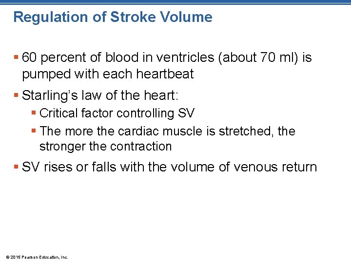 Regulation of Stroke Volume § 60 percent of blood in ventricles (about 70 ml) Regulation of Stroke Volume § 60 percent of blood in ventricles (about 70 ml)
