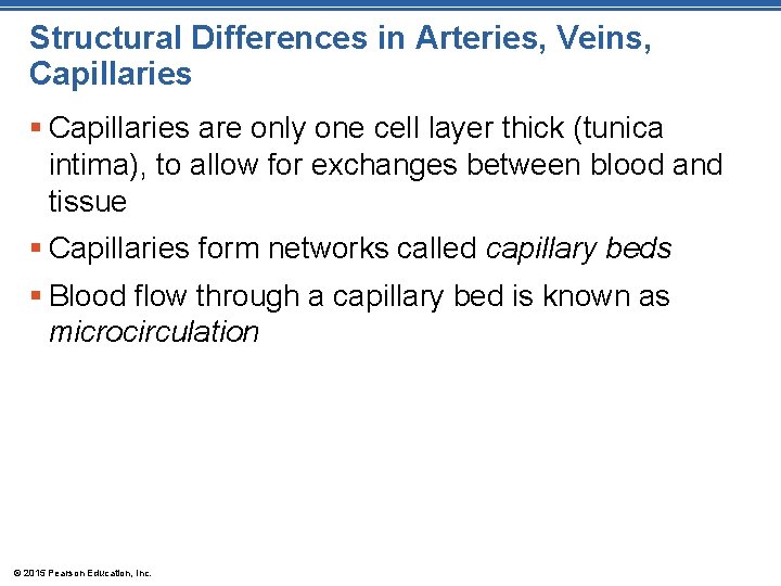 Structural Differences in Arteries, Veins, Capillaries § Capillaries are only one cell layer thick