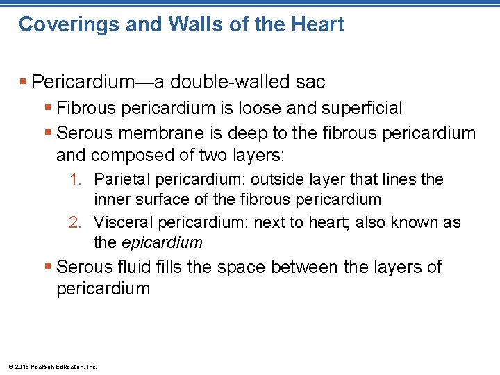 Coverings and Walls of the Heart § Pericardium—a double-walled sac § Fibrous pericardium is Coverings and Walls of the Heart § Pericardium—a double-walled sac § Fibrous pericardium is