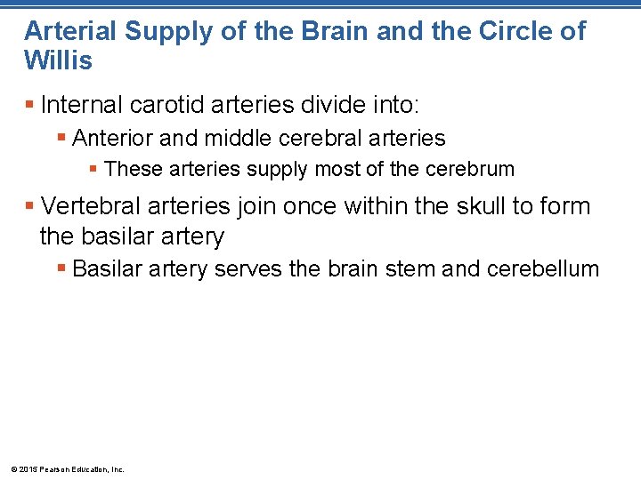 Arterial Supply of the Brain and the Circle of Willis § Internal carotid arteries Arterial Supply of the Brain and the Circle of Willis § Internal carotid arteries
