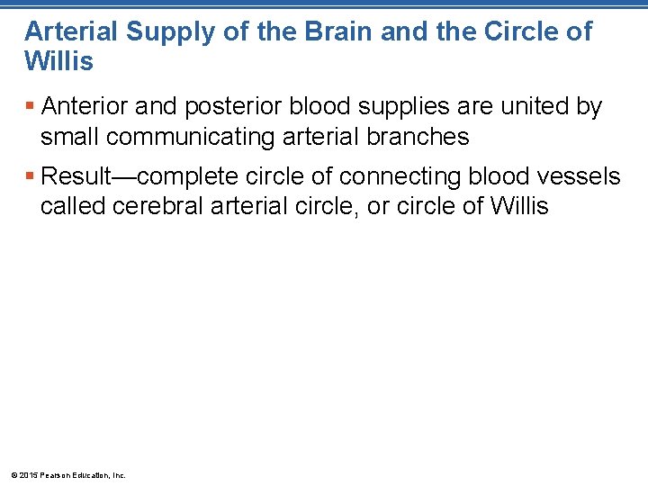 Arterial Supply of the Brain and the Circle of Willis § Anterior and posterior Arterial Supply of the Brain and the Circle of Willis § Anterior and posterior