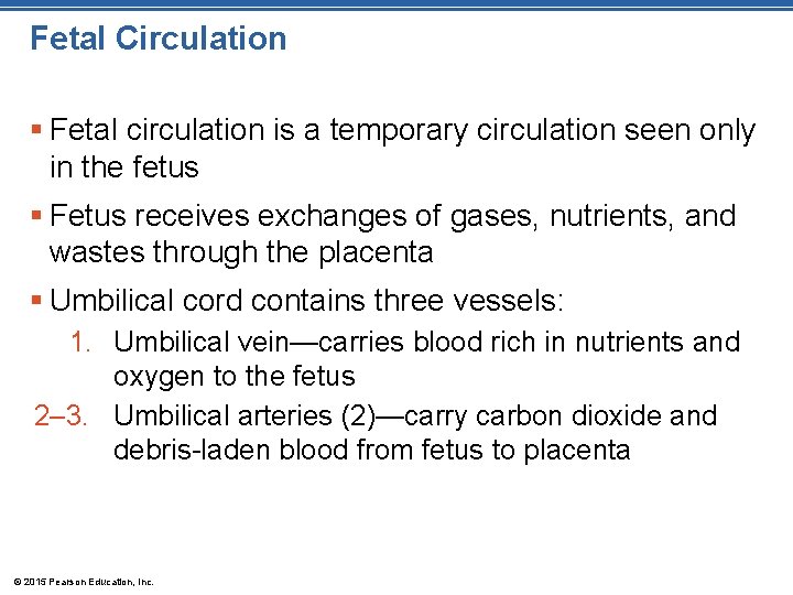 Fetal Circulation § Fetal circulation is a temporary circulation seen only in the fetus