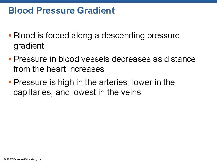 Blood Pressure Gradient § Blood is forced along a descending pressure gradient § Pressure Blood Pressure Gradient § Blood is forced along a descending pressure gradient § Pressure