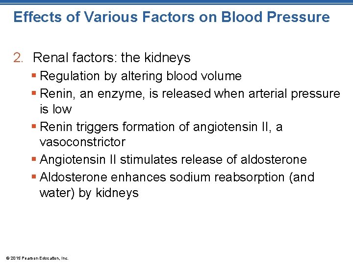Effects of Various Factors on Blood Pressure 2. Renal factors: the kidneys § Regulation Effects of Various Factors on Blood Pressure 2. Renal factors: the kidneys § Regulation
