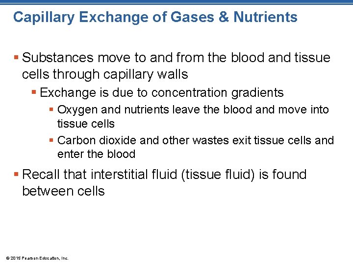 Capillary Exchange of Gases & Nutrients § Substances move to and from the blood Capillary Exchange of Gases & Nutrients § Substances move to and from the blood