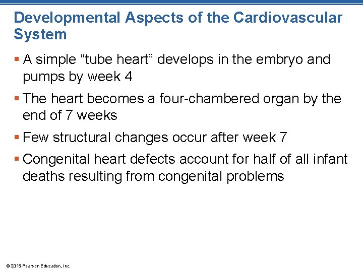 Developmental Aspects of the Cardiovascular System § A simple “tube heart” develops in the Developmental Aspects of the Cardiovascular System § A simple “tube heart” develops in the