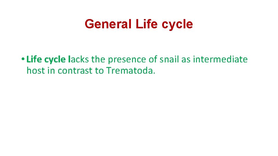 General Life cycle • Life cycle lacks the presence of snail as intermediate host