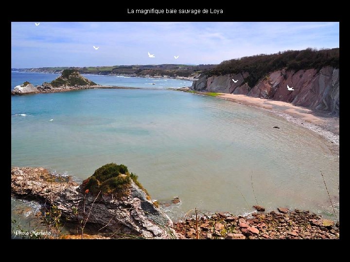 La magnifique baie sauvage de Loya . . 