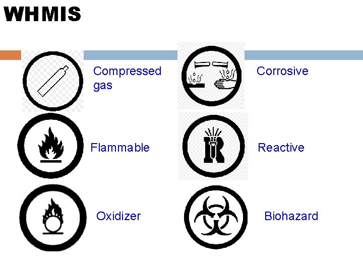 WHMIS Compressed gas Corrosive Flammable Reactive Oxidizer Biohazard 