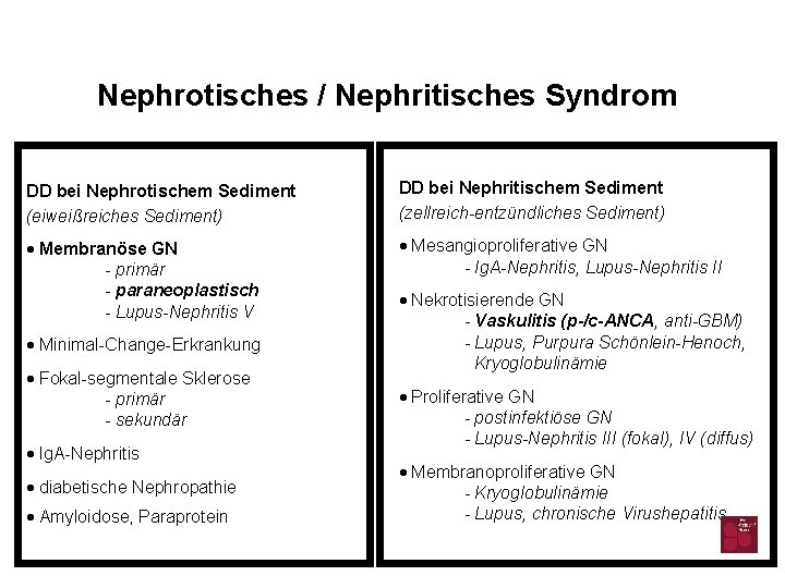 Nephrotisches / Nephritisches Syndrom DD bei Nephrotischem Sediment (eiweißreiches Sediment) DD bei Nephritischem Sediment