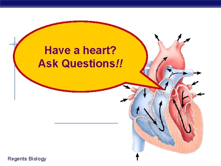 Have a heart? Ask Questions!! Regents Biology 2008 -2009 