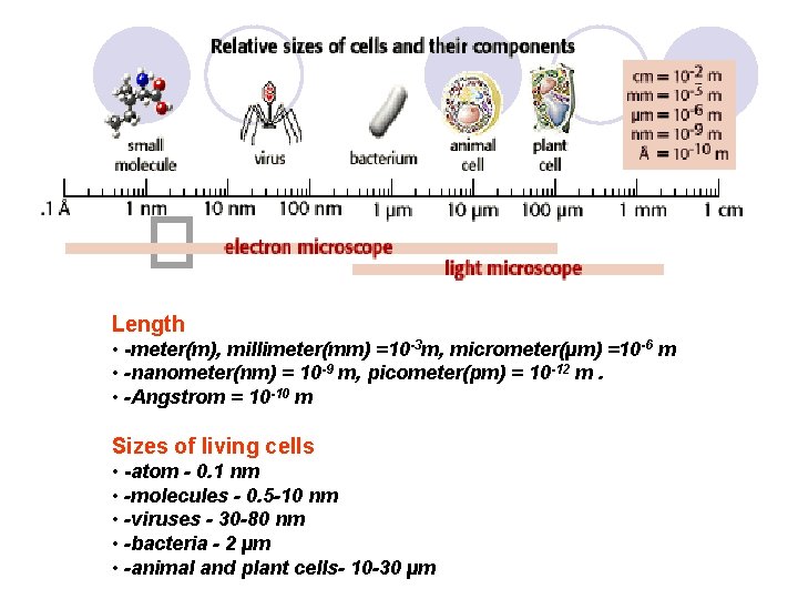  Length • -meter(m), millimeter(mm) =10 -3 m, micrometer(µm) =10 -6 m • -nanometer(nm)