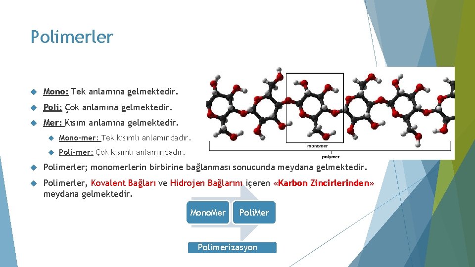 Polimerler Mono: Tek anlamına gelmektedir. Poli: Çok anlamına gelmektedir. Mer: Kısım anlamına gelmektedir. Mono-mer: