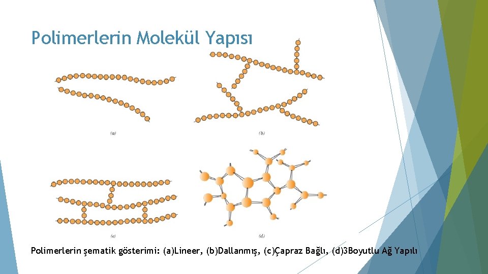 Polimerlerin Molekül Yapısı Polimerlerin şematik gösterimi: (a)Lineer, (b)Dallanmış, (c)Çapraz Bağlı, (d)3 Boyutlu Ağ Yapılı