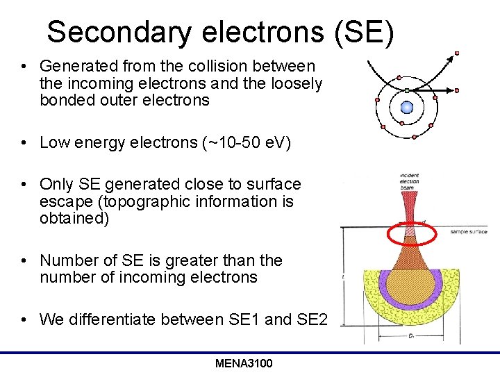 Secondary electrons (SE) • Generated from the collision between the incoming electrons and the