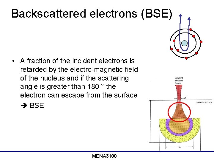 Backscattered electrons (BSE) • A fraction of the incident electrons is retarded by the