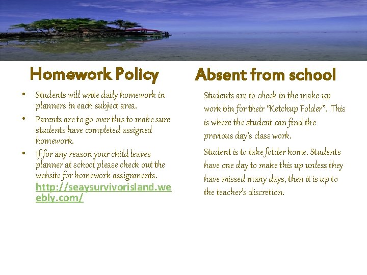 Homework Policy • Students will write daily homework in planners in each subject area.