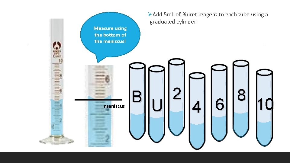 Measure using the bottom of the meniscus! meniscus ØAdd 5 m. L of Biuret