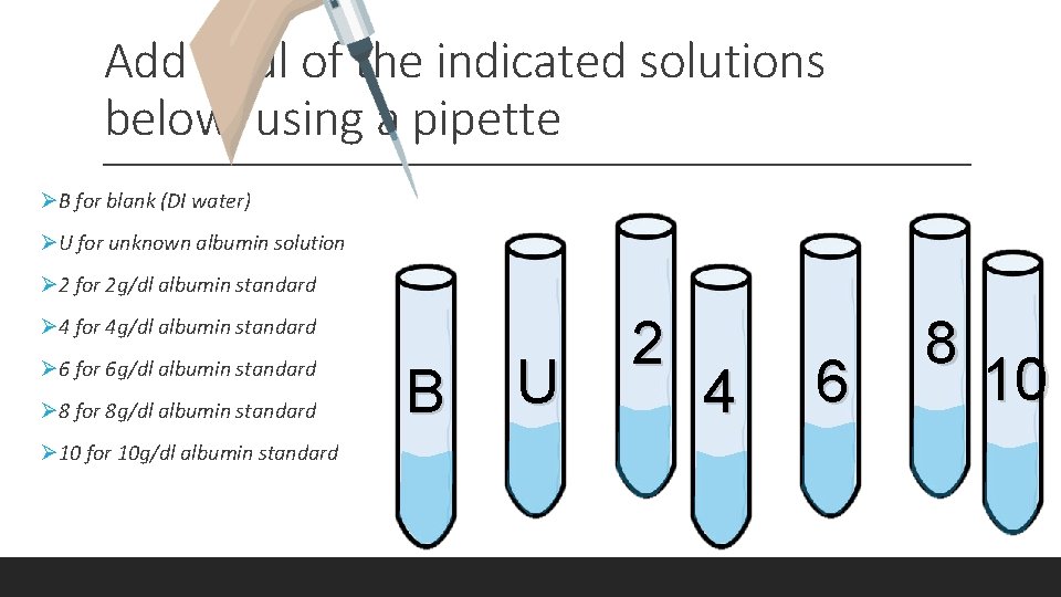 Add 50 ul of the indicated solutions below, using a pipette ØB for blank