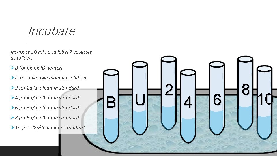 Incubate 10 min and label 7 cuvettes as follows: ØB for blank (DI water)