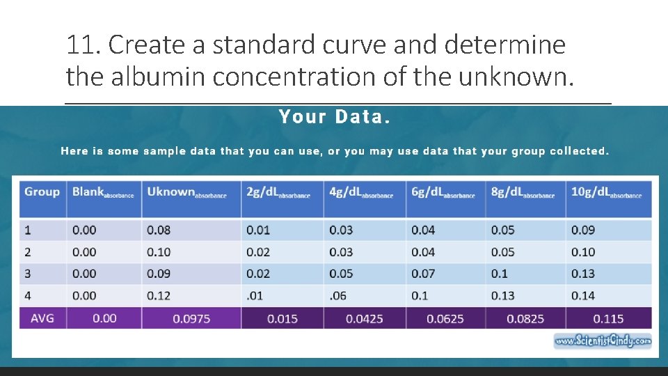 11. Create a standard curve and determine the albumin concentration of the unknown. 